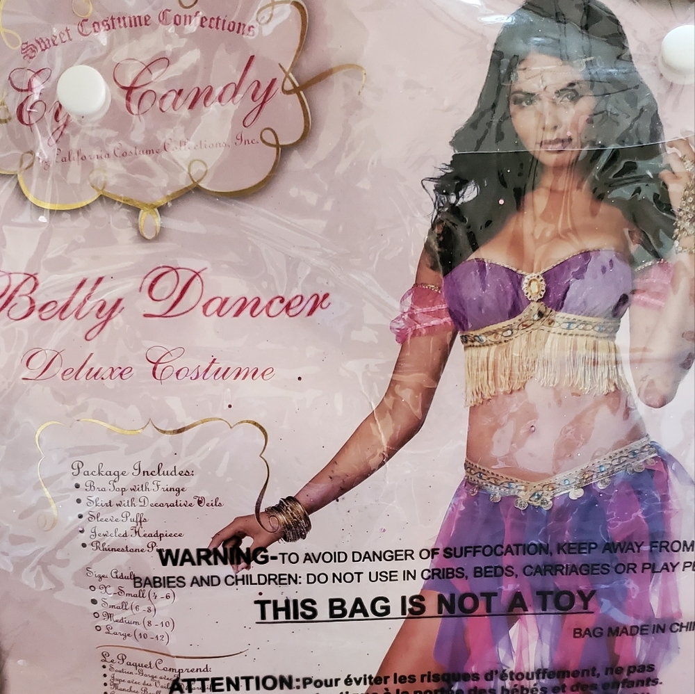 Halloween costume- Belly Dancer